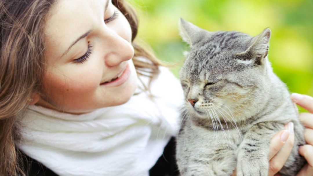 √1000以上 mon chat a beaucoup maigri 232634Mon chat ne mange plus et a beaucoup maigri